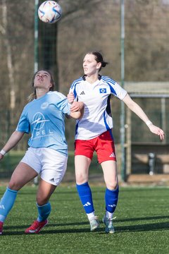 Bild 181 - F Hamburger SV 3 - Blau-Weiss 96 : Ergebnis: 5:1